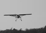 Fieseler Storch