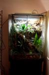 terrarium