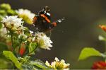 Septembersommer am 16.9.2014