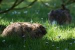 Besucher mit Löffeln