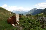 auf der Alm