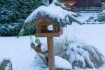 Mundraub am Futterhäuschen