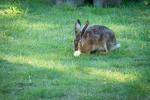 Ostern is' vorbei, Mann!