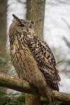 Tierpark Pforzheim