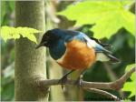 Fototreffen Tierpark Aschersleben