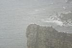 Bempton Cliffs