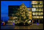 Tannenbaum bei Krupp