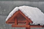 Vogelhaus im Spätherbst ,unbewohnt!