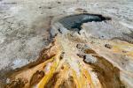 Upper Geyser Basin 03