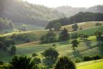 Landschaft im Odenwald (4)