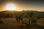 Lost Dutchman State Park