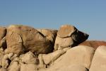 (55)	Bisti Badlands: „Hund“