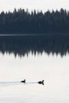 (123)	Jenny Lake bei starker Bewölkung