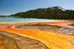 (203)	Grand Prismatic Spring Detail