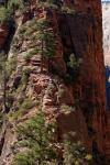 Angels Landing Detail