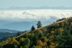 ardeche und alpen