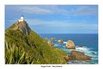 Nugget Point