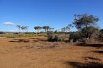 Samburu NP