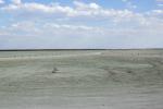 Etosha