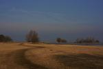 Naturschutzgebiet Alter Rhein