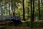 Herbst im Hermsdorfer Park 4