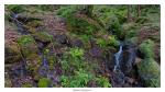 Tafelberg Nationalpark