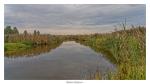 Nationalpark Narew