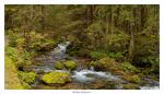 Nationalpark Tatra