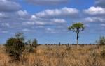 Südafrika, Lowveld