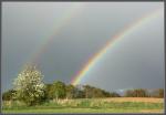 Regenbogen Loddiner Höft / Usedom