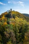 Münz im Herbst