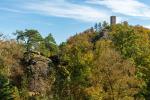 Wald und Burg