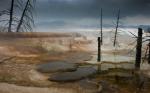 Mammoth Hot Spring - Blick auf die obere Terasse