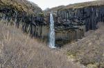 Svartifoss