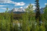 La Biche River am Icefields Parkway