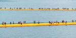 Floating Piers