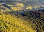 Herbst an der Mosel