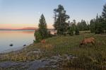 Lake Yellowstone: Abenddämmerung