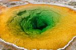 Morning Glory - Yellowstone Nationalpark