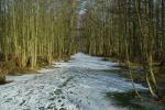 Spreewald zugefroren, ein Traum !