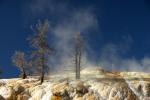 Hot Spring Terraces