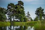 Die verlassene Krippe im Sommer