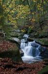 Im Ilsetal, Harz