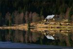 Kleiner Arbersee