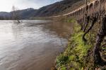 Moselhochwasser