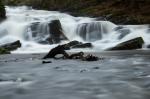 Wasserfall Alexisbad 2