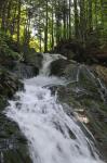 Wasserfall in der Vogelgesang Klamm