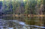 Hammersee bei Bodenwöhr