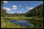 Beaver Pond