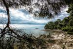 Strand bei Rovinj in Istrien